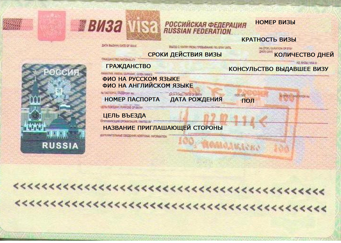 Почему нужна виза. Российская виза. Виза в Россию. Виза в Россию для иностранца. Виза РФ для иностранцев.