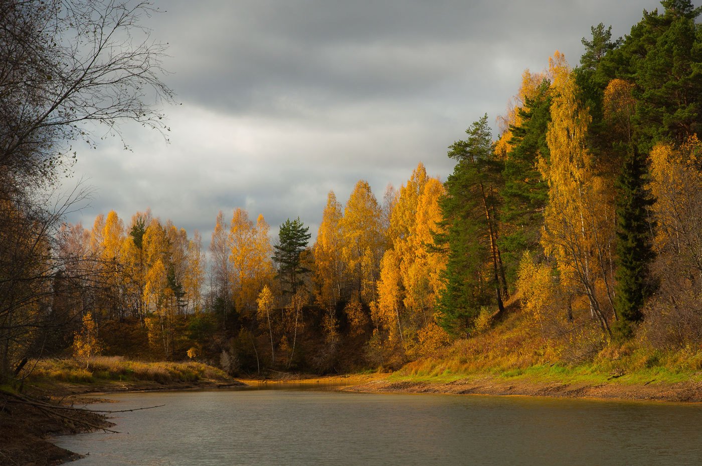 Природа Ярославля река