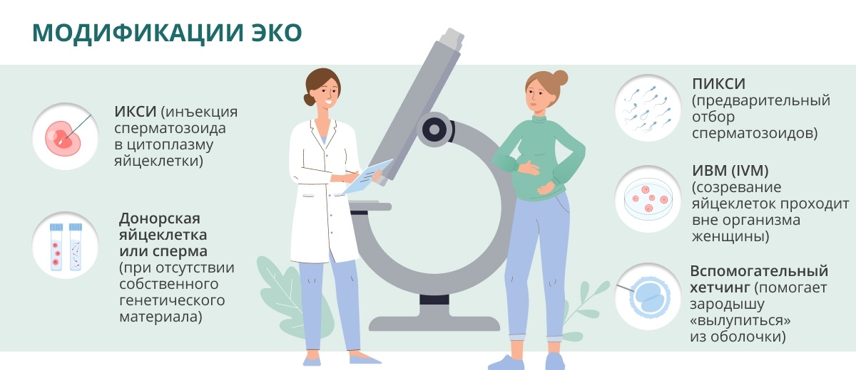 Процедура эко: как это происходит?