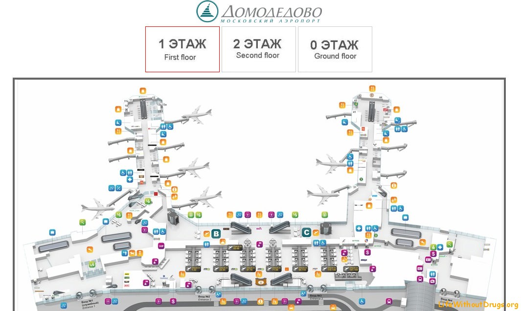 Аэропорт домодедово 1 этаж схема