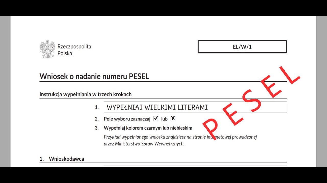 Pesel: что это такое, какие дает преимущества и как его получить в 2023 году