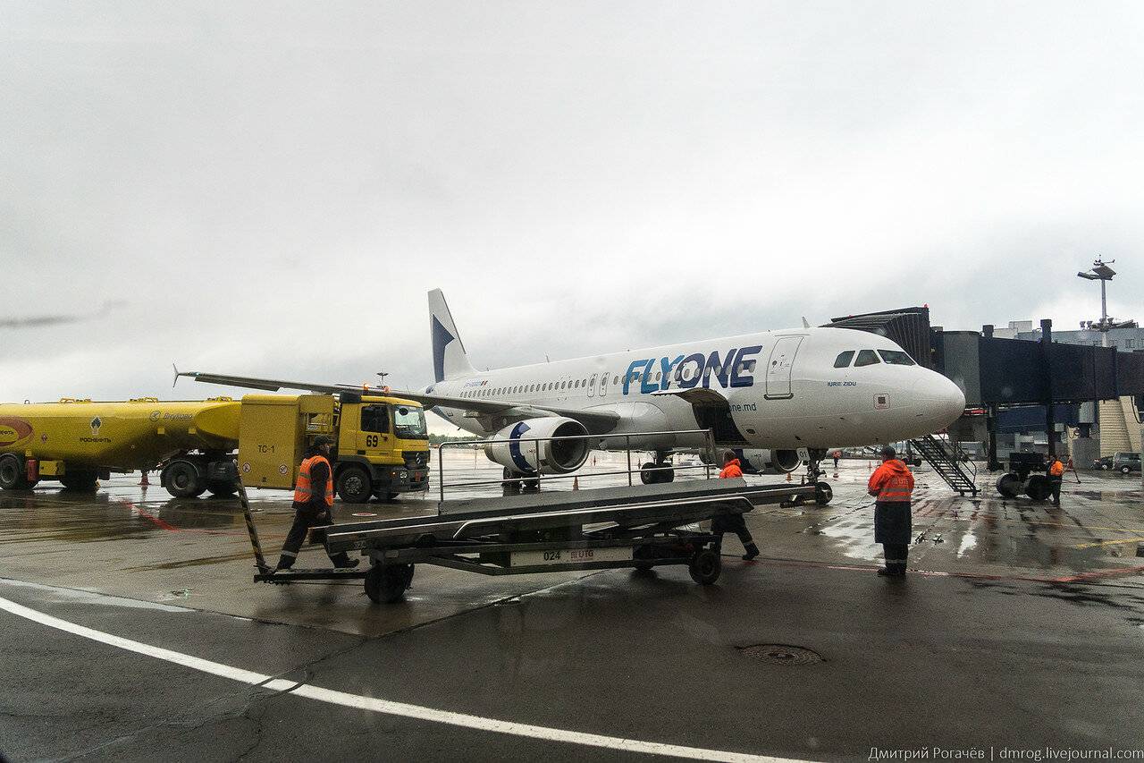 Flyone как позвонить