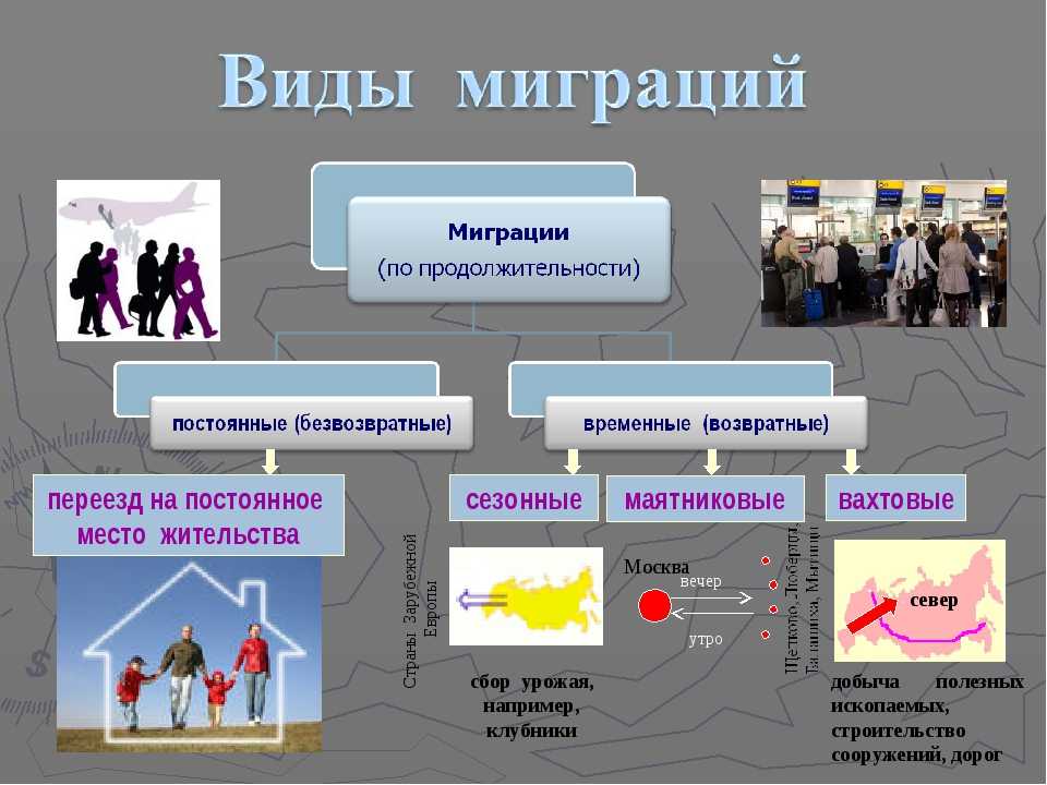 Какие существуют виды миграции?
