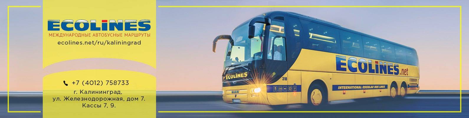 Lux express или ecolines