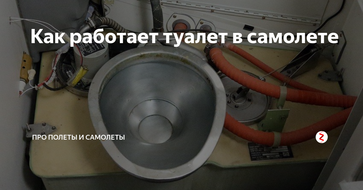 Туалет в самолете: как устроен, куда все девается