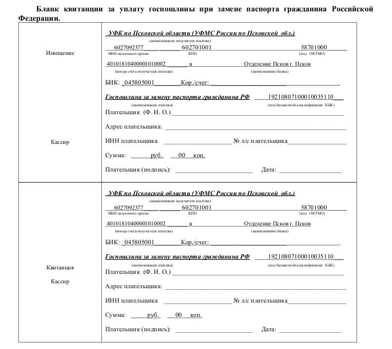 Выдача (замена) паспорта гражданина рф