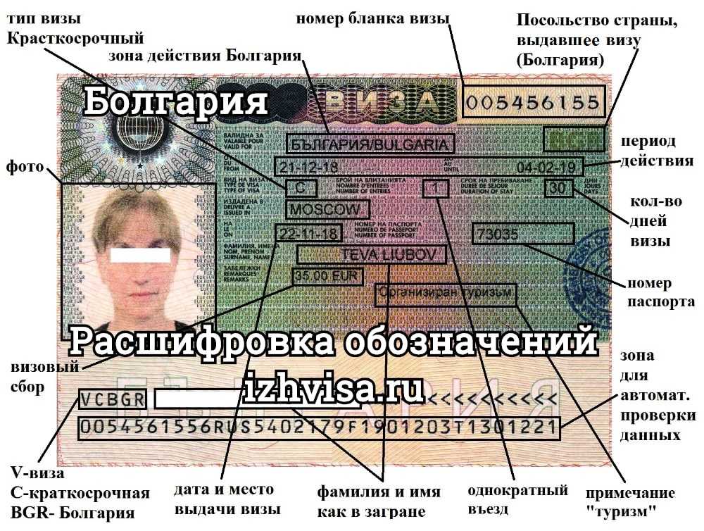 Шенгенская виза и расшифровка ее обозначений. как правильно читать шенгенскую визу?