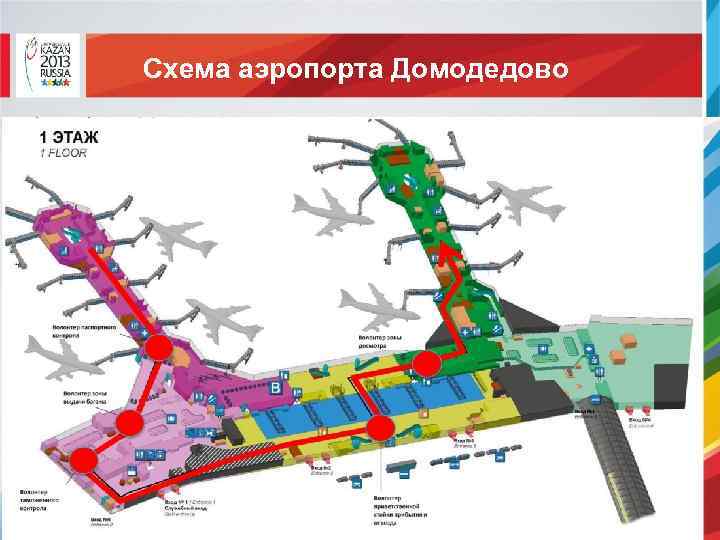 Курилка домодедово вылет. Схема аэропорта Домодедово.
