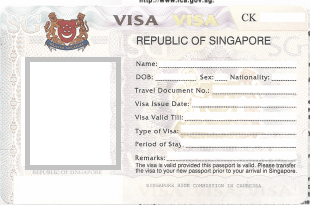 Нужна ли виза в сингапур 2024. Электронная виза в Сингапур. Как выглядит электронная виза в Сингапур. Анкета на визу в Сингапур. Виза в Сингапур пример.