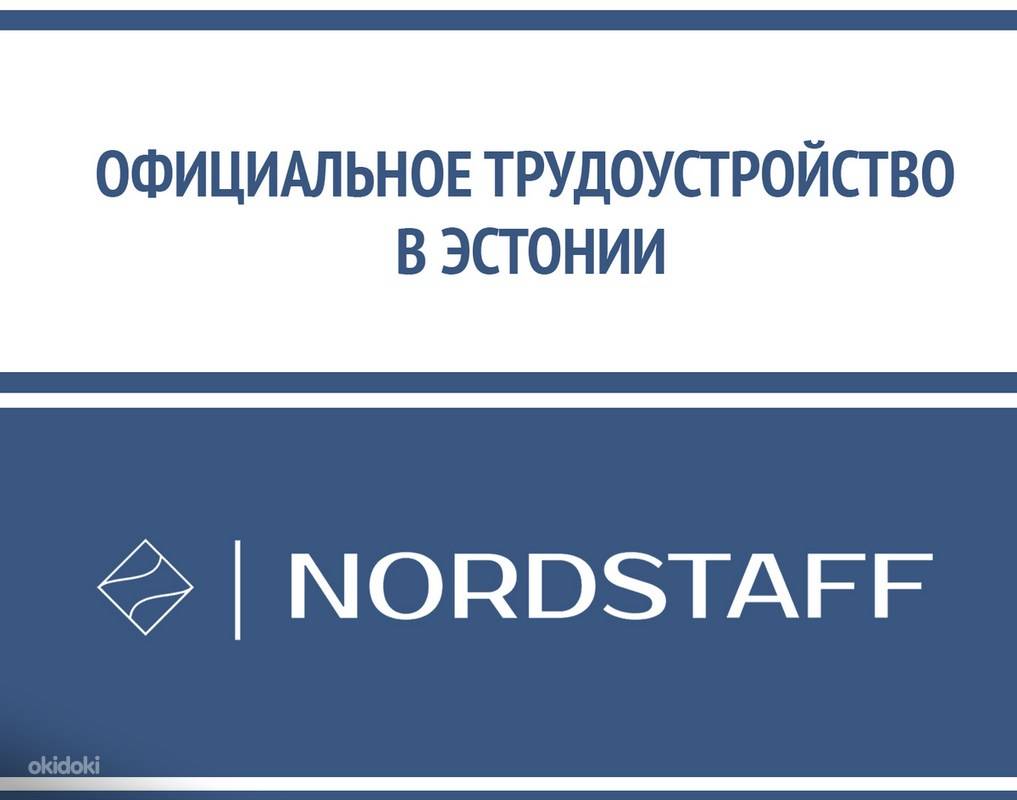 Работа в эстонии для русских: вакансии без знания языка