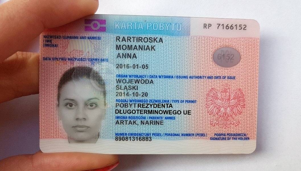 Blue card германия: все о получении карты для работы в германии