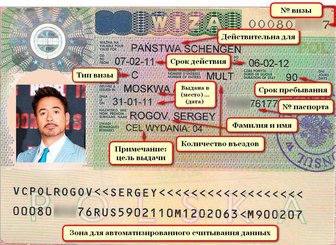 Максимальный срок визы. Номер визы. Номер шенгенской визы. Номер и Дата выдачи визы. Код и номер шенгенской визы.