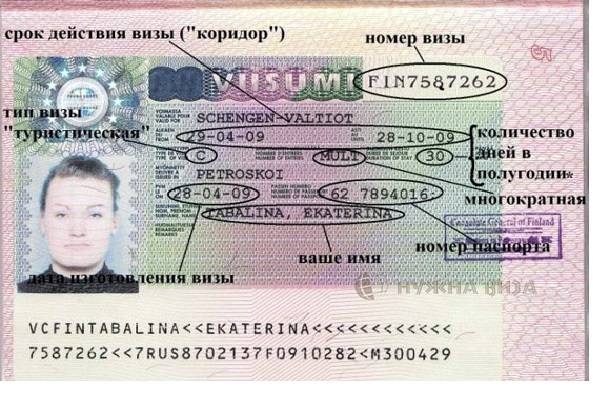 Виза в финляндию в 2023 году: инструкция по получению | provizu