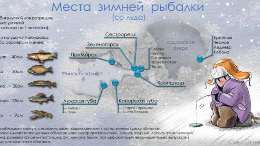 Поиск работы в дюссельдорфе: вакансии для русскоговорящих соискателей