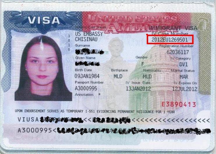Переезд в сша от визы о-1 до гринкарты: стоимость эмиграции, сроки, ошибки и советы / хабр