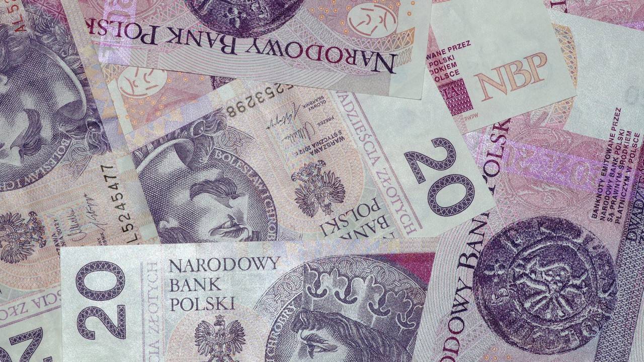 Какая валюта в польше bkr-bank.ru все про деньги