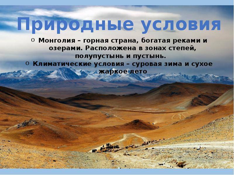 8 самых распространенных мифов о монголии