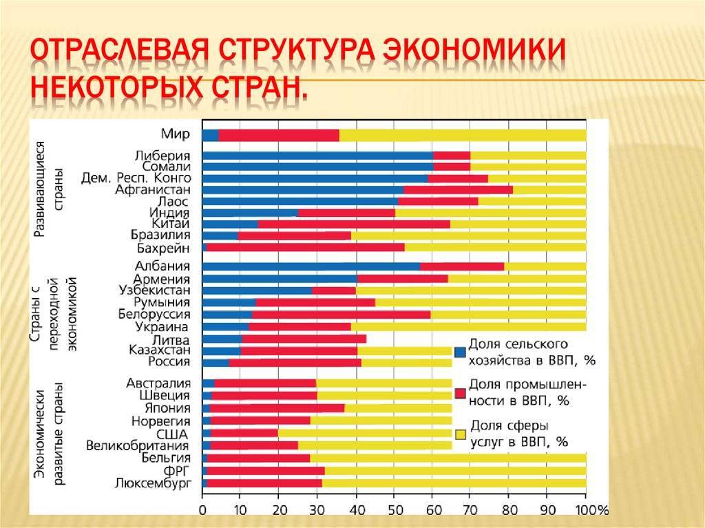 В саду у сторожа росли цветы гвоздики лилии тюльпаны схема предложения