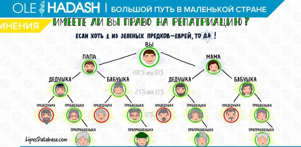 Репатриация в израиль: документы, программы для репатриантов