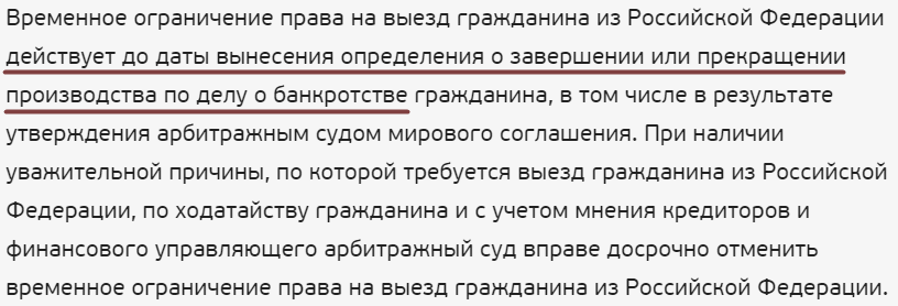 Может ли банкрот выезжать за границу в 2023 году