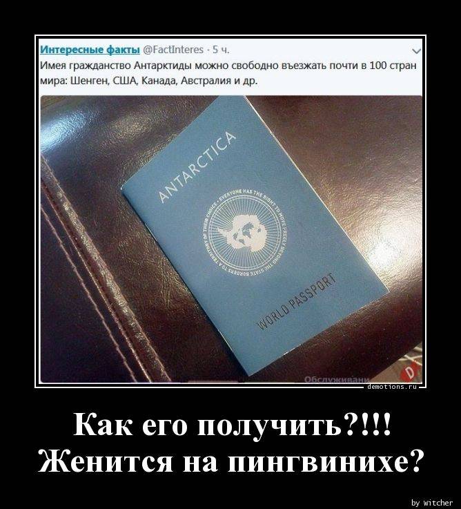 Гражданство антарктиды в 2021 году как получить