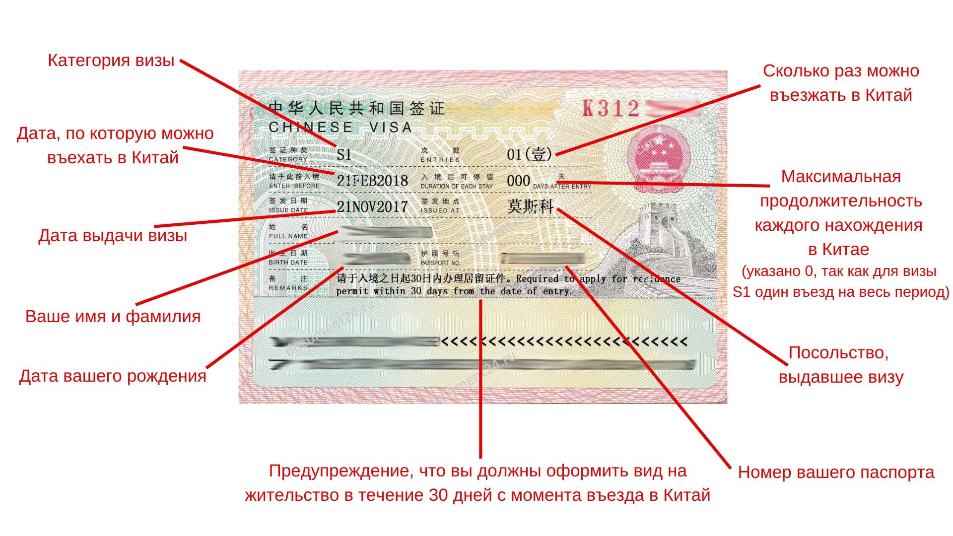 Идентификатор гражданина что это. Виза китайская s1. Номер визы. Номер Российской визы. Номер визы в Россию.