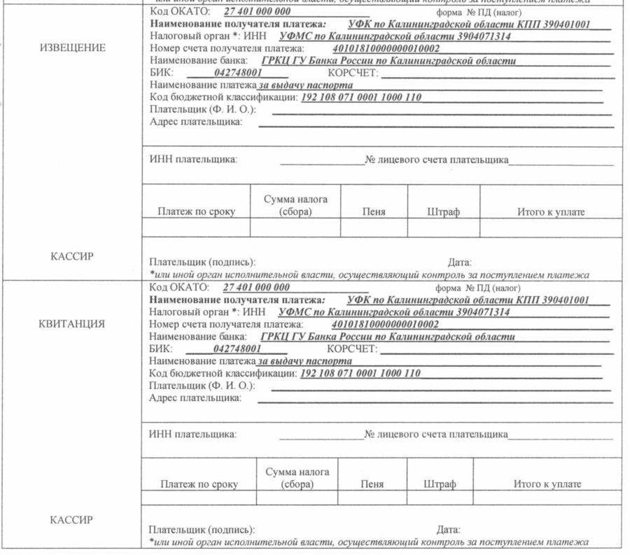 Восстановление паспорта при утере или порче: правила и сроки процедуры, санкции, необходимые документы