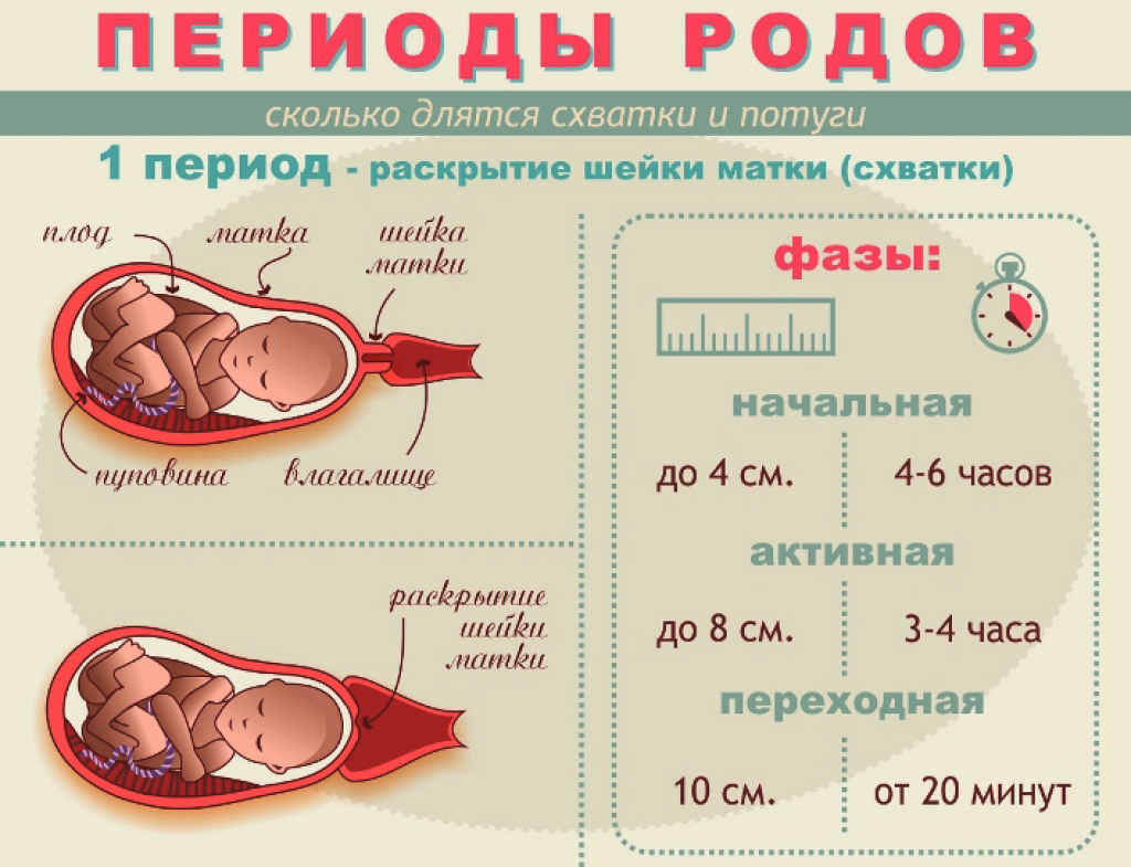 Раскрытие шейки матки при родах периоды