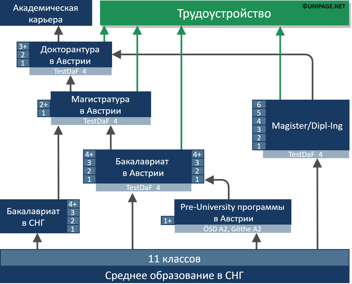 Ступени образования в Австрии. Схема немецкого образования. Австрийская система образования. Образование в Австрии схема.