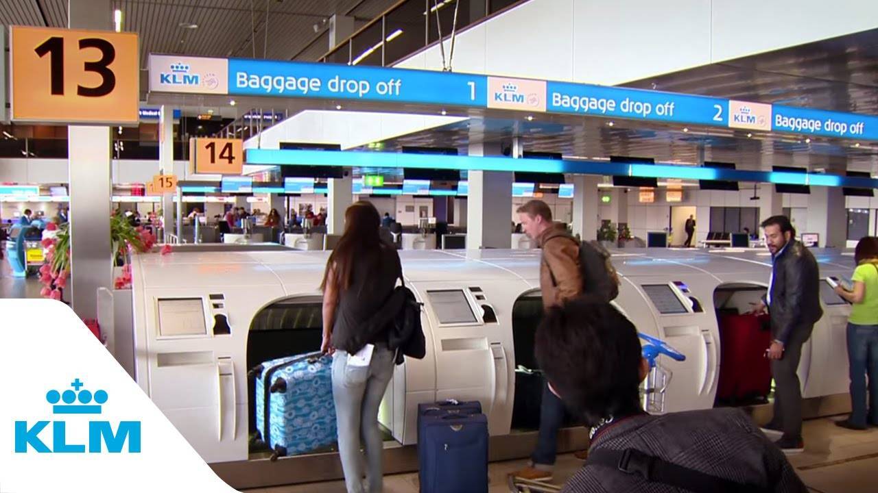 Инструкция по прохождению регистрации на рейс KLM онлайн и оффлайн
