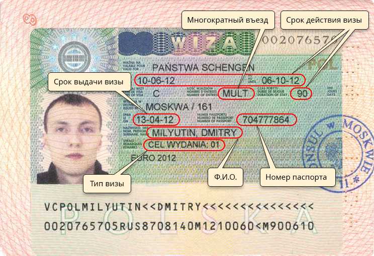 Расшифровка шенгенской визы в паспорте — migranti