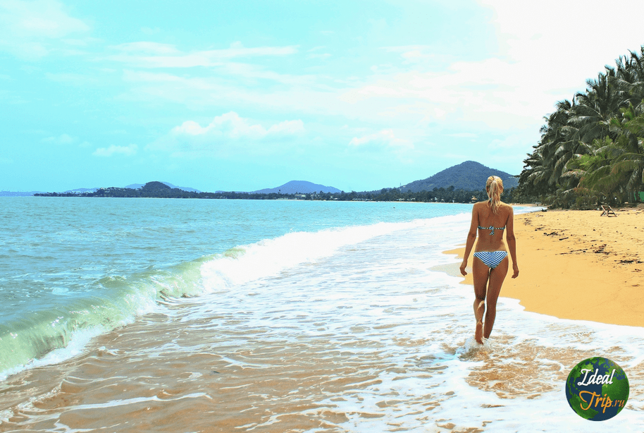 лоукост в таиланд, о. маршрут москва египет на самолете. маршрут москва пхукет на самолете. перелет москва самуи. маршрут перелета москва египет.