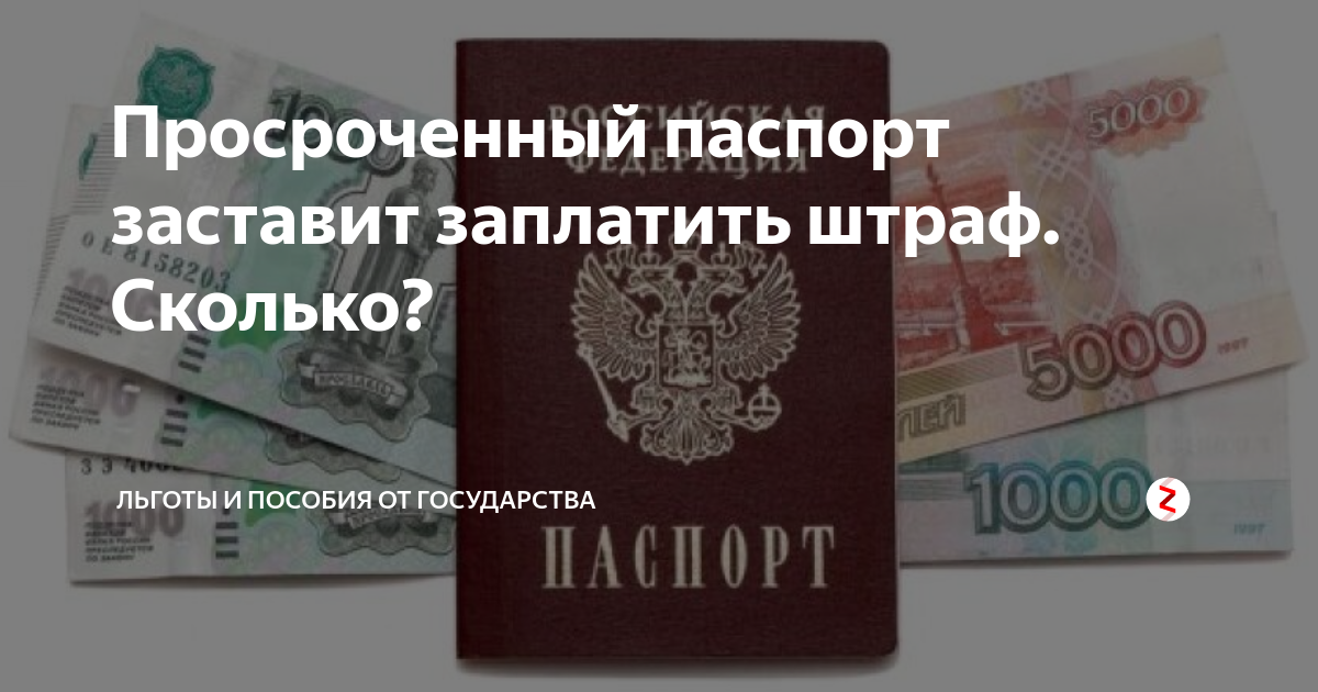 Штраф за несвоевременную замену паспорта в 2021 году: после смены фамилии или замужества