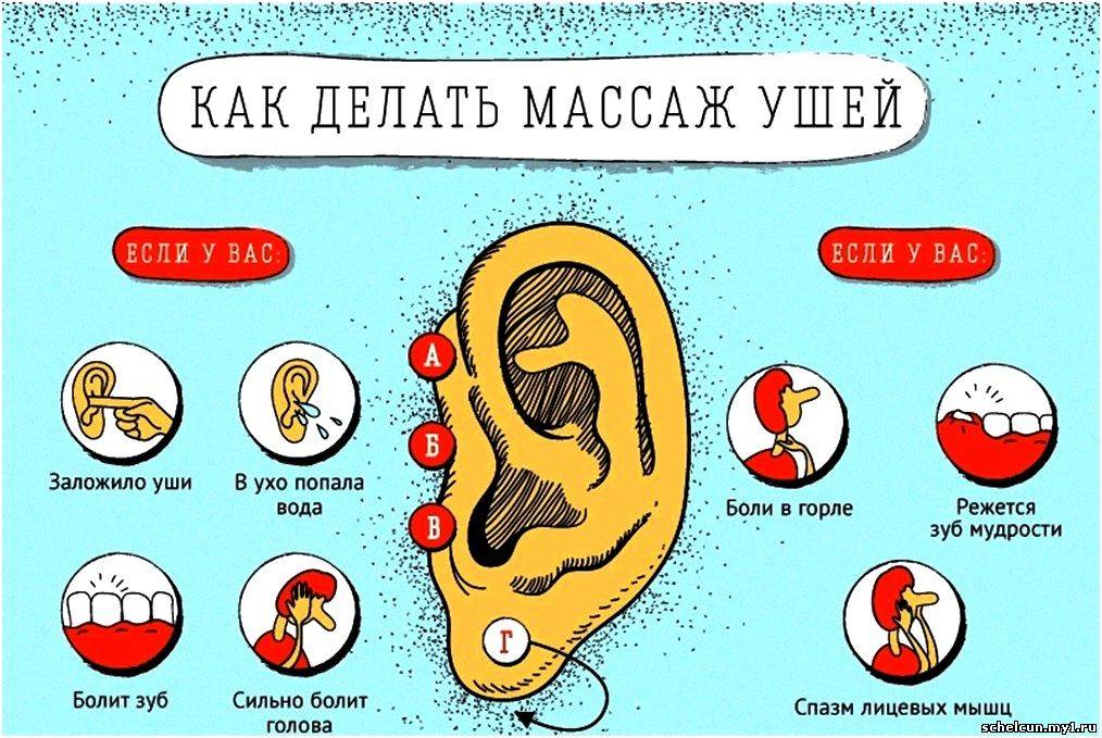 Причины закладывания ушей в самолете: предпосылки проблемы