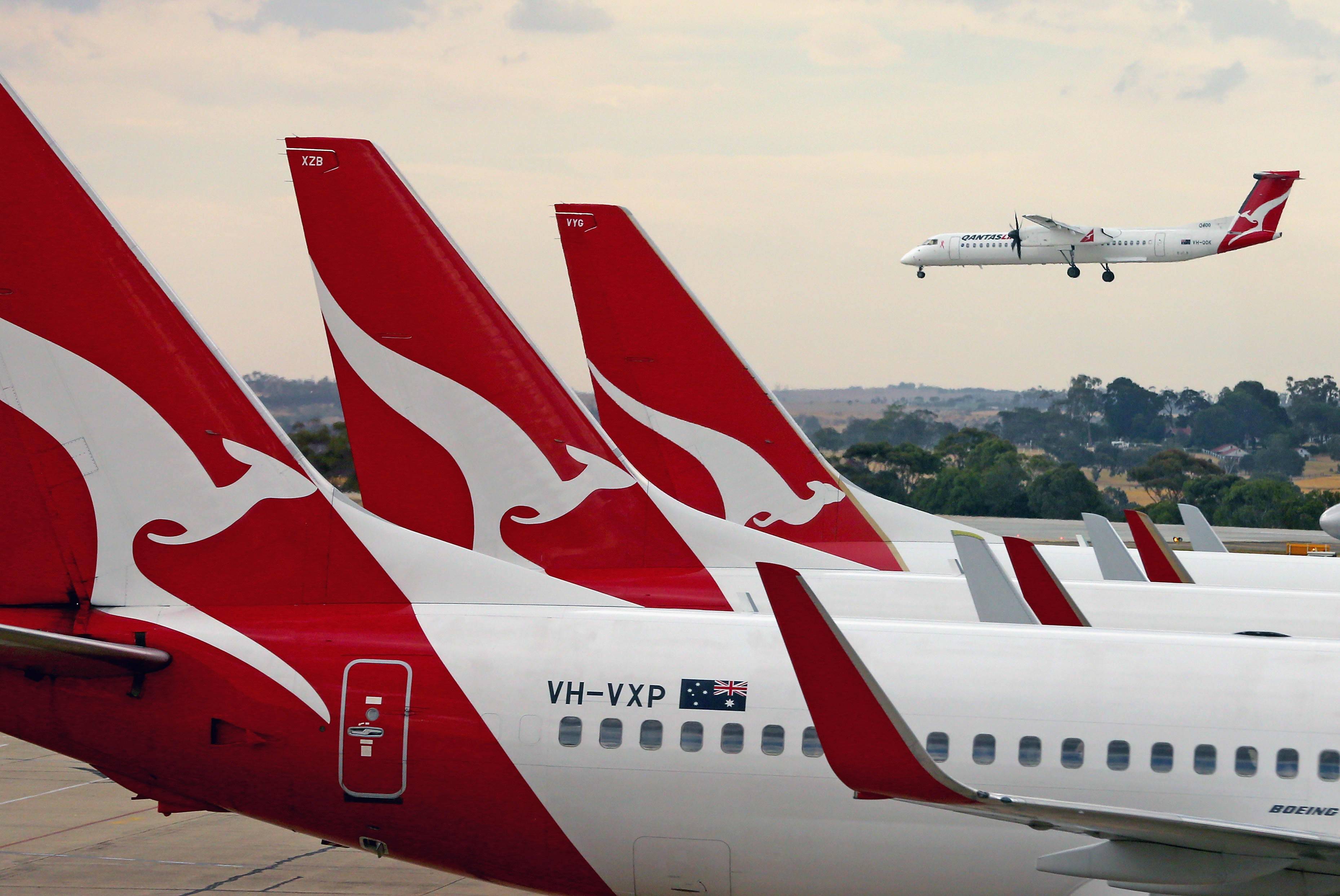 Самая большая авиакомпания австралии «qantas airways»