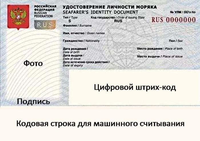 Паспорт моряка, улм: получение или восстановление документа, образец, порядок оформления и замены