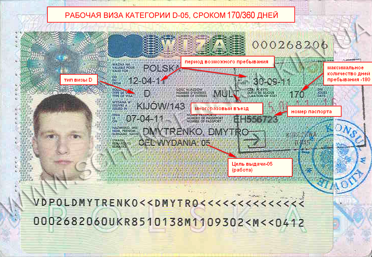 Виза куда. Рабочая шенгенская виза. Польская шенгенская виза. Рабочая виза шенген. Польская виза шенген.