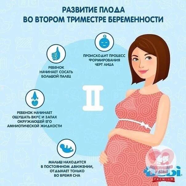 Операции перед беременностью. Советы по беременности. Полезное для беременных. Советы беременной. Рекомендации для беременной в 1 триместре.