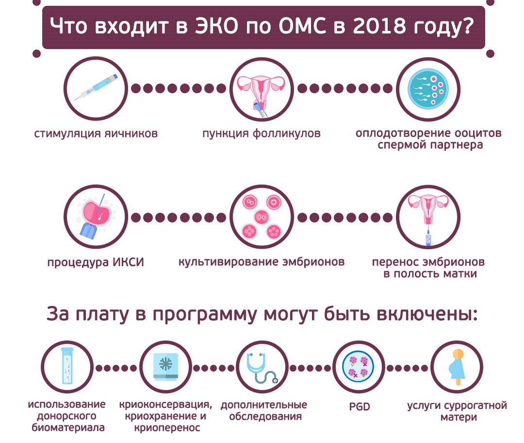 Эко в польше: особенности, преимущества, клиники