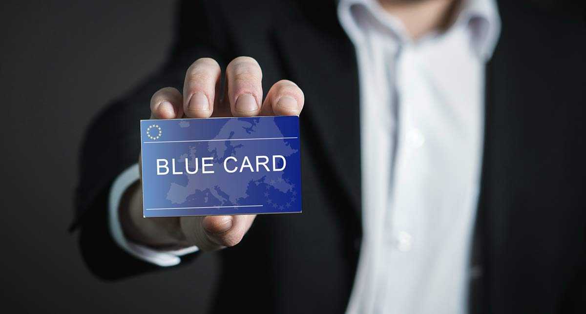 Все о голубой карте в польше - blue card